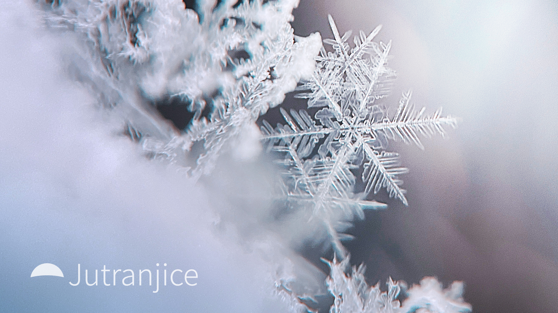 JUTRANJICE 2025 12 b